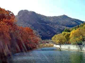 澳门二四六天天彩图库，海意背景